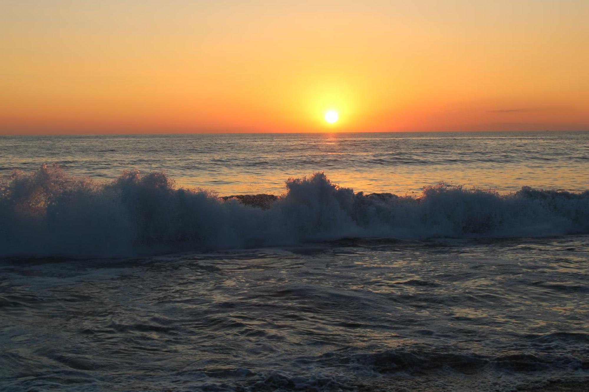 Surf Paradise Zicatela Otel Puerto Escondido  Dış mekan fotoğraf